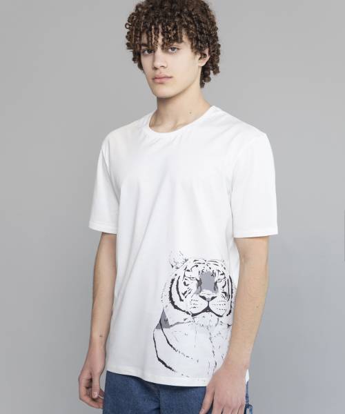 Be the Tiger not the prey